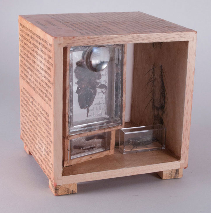 Tarantula Box